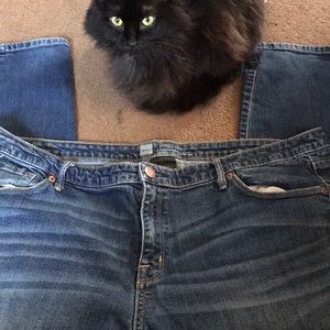 Mossimo Skinny Jeans. Kitty not included